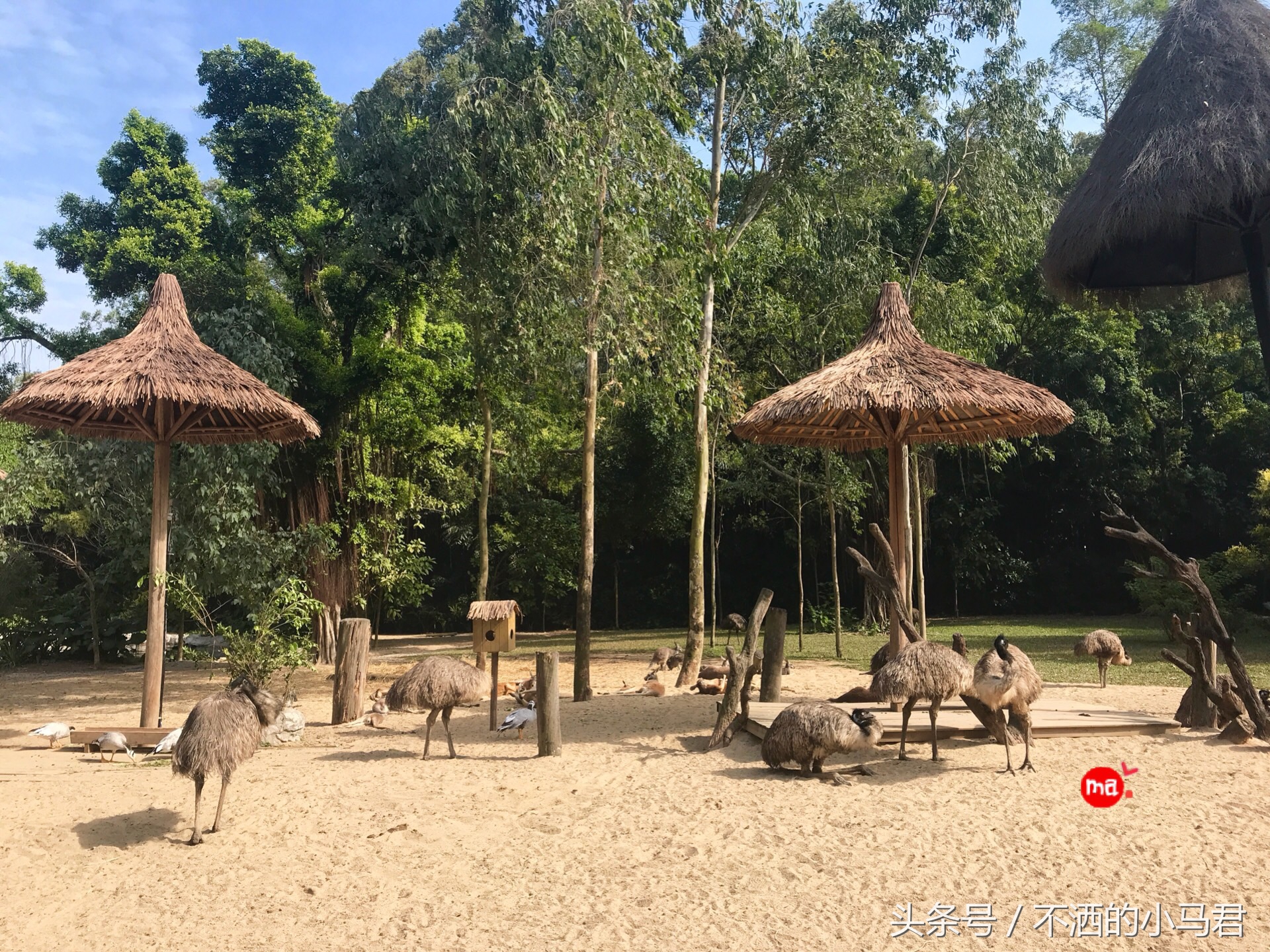 长隆野生动物园3天2晚亲子游,广州长隆野生动物园亲子游攻略