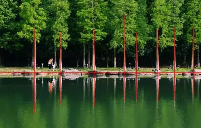 简单摄影教程全集,简单摄影照片教程