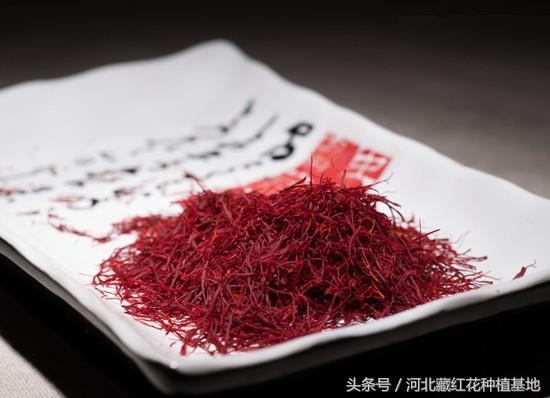 藏红花的味道有一股塑料味,藏红花的味道和功效