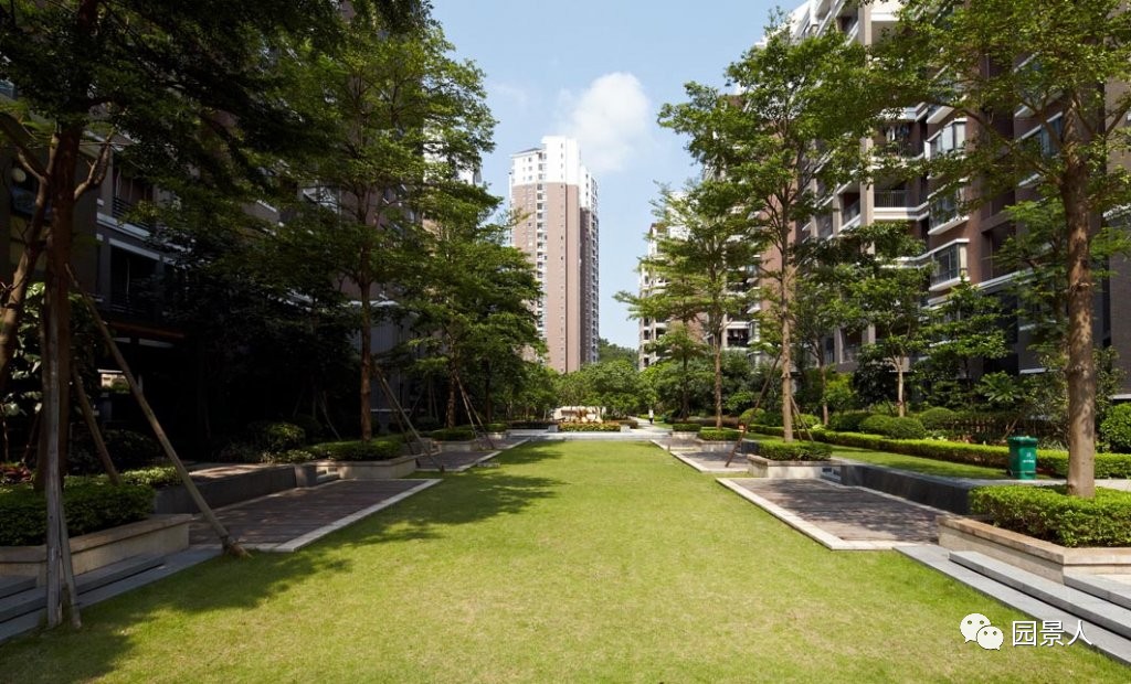 阳光草地美景,福州阳光草坪