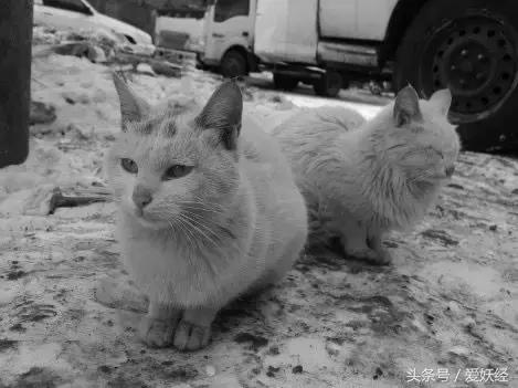 爱妖经陪你过暖冬｜爱要有你才温暖