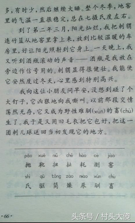 语文课本童年的回忆板书,小学语文课本回忆2012版