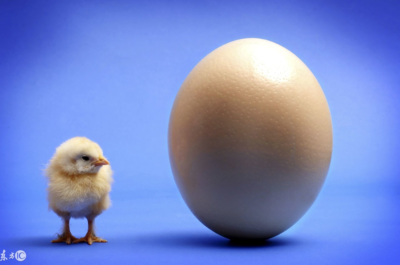 怎么跟12星座恋爱聊天,聊天不爱回消息的人是啥星座