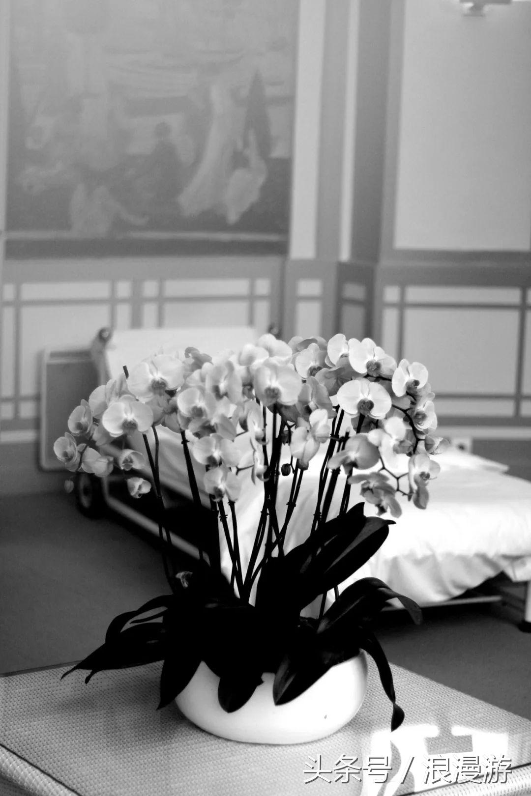 下雪天，在法国依云小镇的户外温泉泡汤，泡的全是依云水