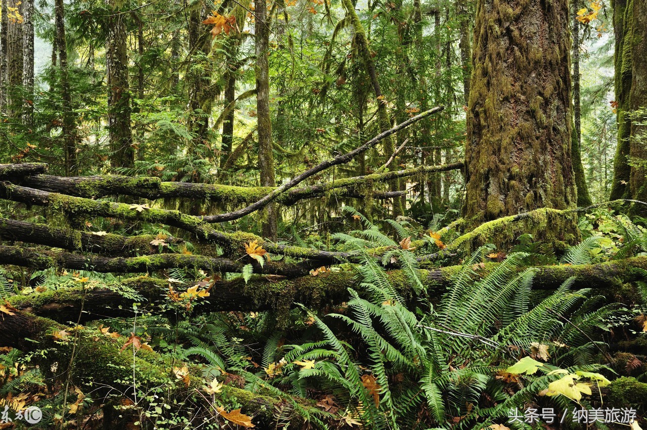 美国旅游自然风景区,美国旅游城市繁华