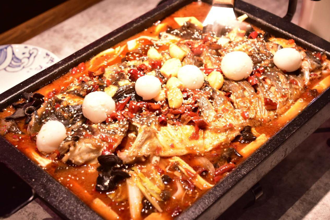 石家庄荣鼎ZooMall“吃货”齐聚，与萌宠和美食完美邂逅！