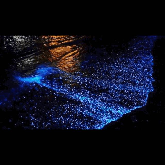 沙巴美人鱼岛该怎么去,美人鱼岛到机场