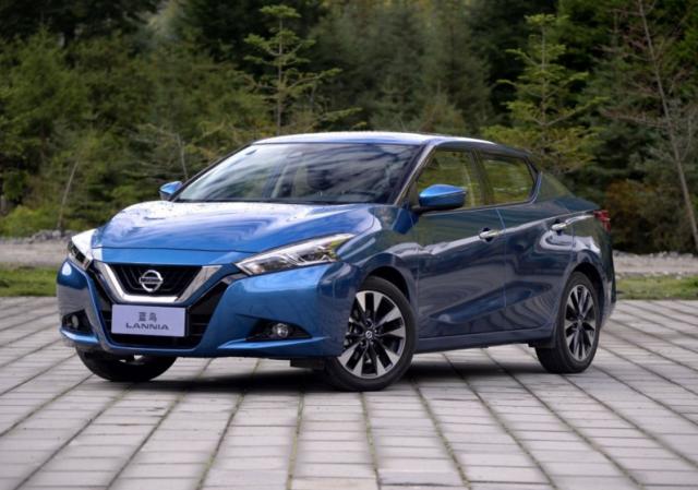 蓝鸟很丑,蓝鸟外形丑不丑