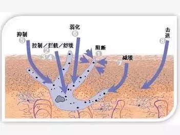 为什么用烟酰胺皮肤会变黄,烟酰胺原液用了会长毛吗