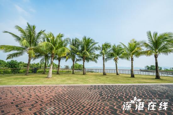 深圳湾公园有什么好玩的地方,深圳湾公园好玩的地方有哪些
