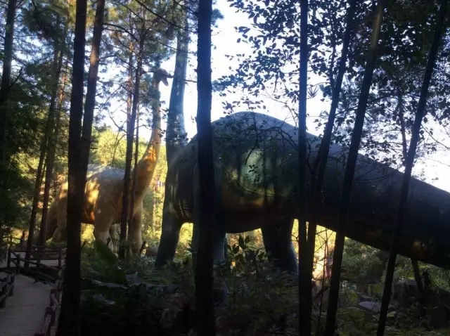 佛冈森波拉温泉门票,佛冈森波拉温泉度假村攻略