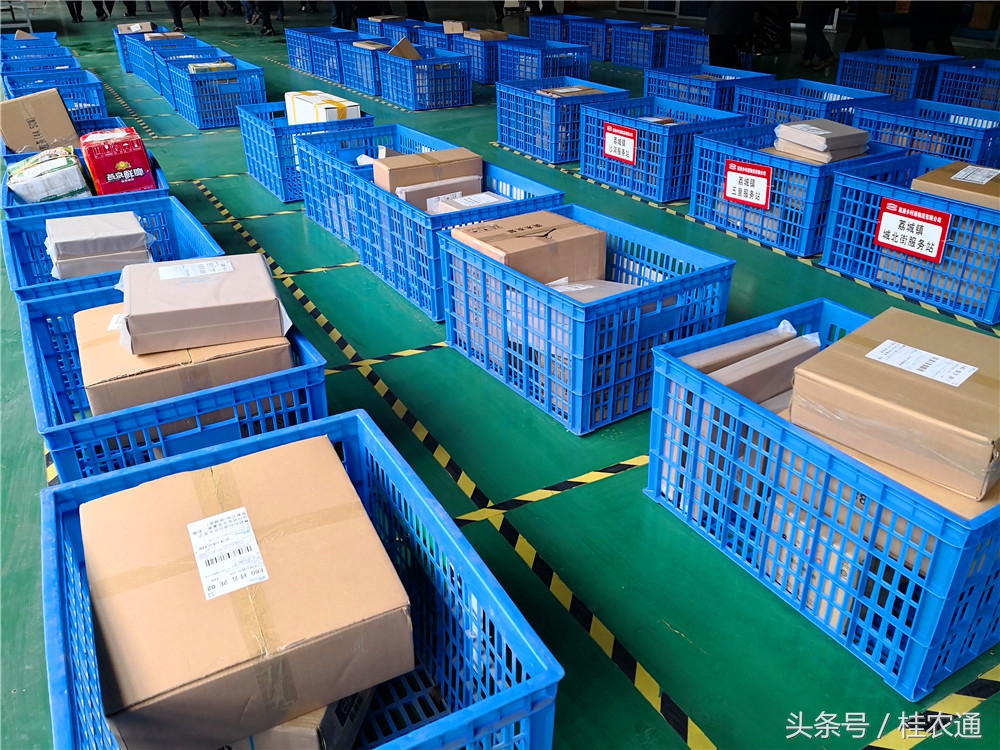 刘罗锅荔浦芋头生产在哪个市,荔浦芋头刘罗锅完整视频