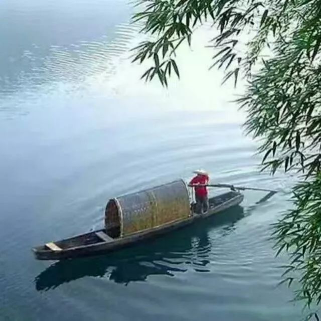 「词风雅韵」风拂青草｜柔柔细语总关情