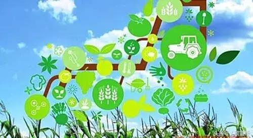 他的羊场是农业部认定的无公害畜产品生产基地，一年收益300万！