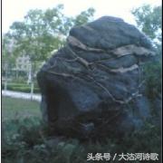 同题诗歌——《冬之恋》45首~总汇