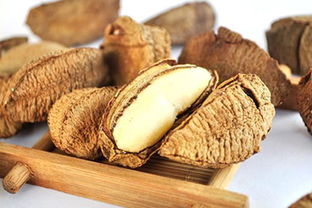 送礼新鲜玩意,从新疆去内地带什么特产