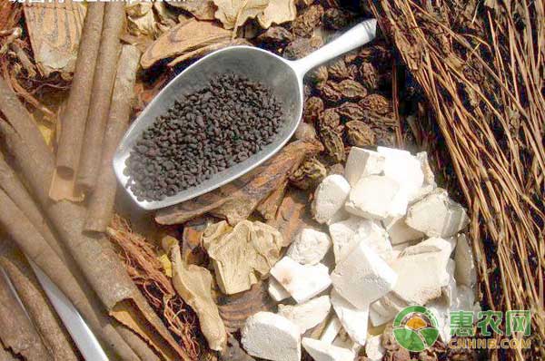 最近几年最好卖的药材,2022年十大紧缺药材价格表