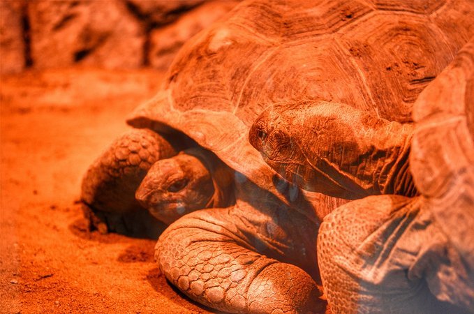 人间仙境三亚,三亚人间天堂全景