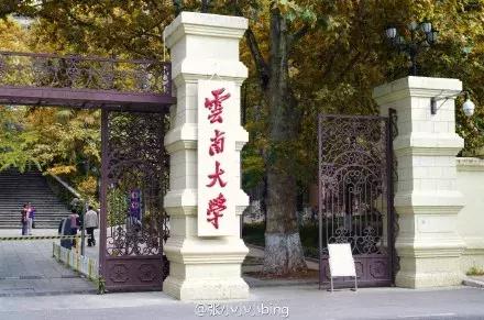 云南大学2024应届毕业生就业率,云南理工大学毕业生就业去向