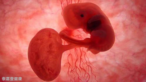 试管婴儿四个月破水流产了,做试管婴儿会流产吗