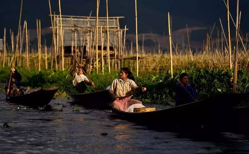 缂呯敻钁楀悕鎽勫奖浣滃搧娆ｈ祻,缂呯敻鎽勫奖浣充綔娆ｈ祻