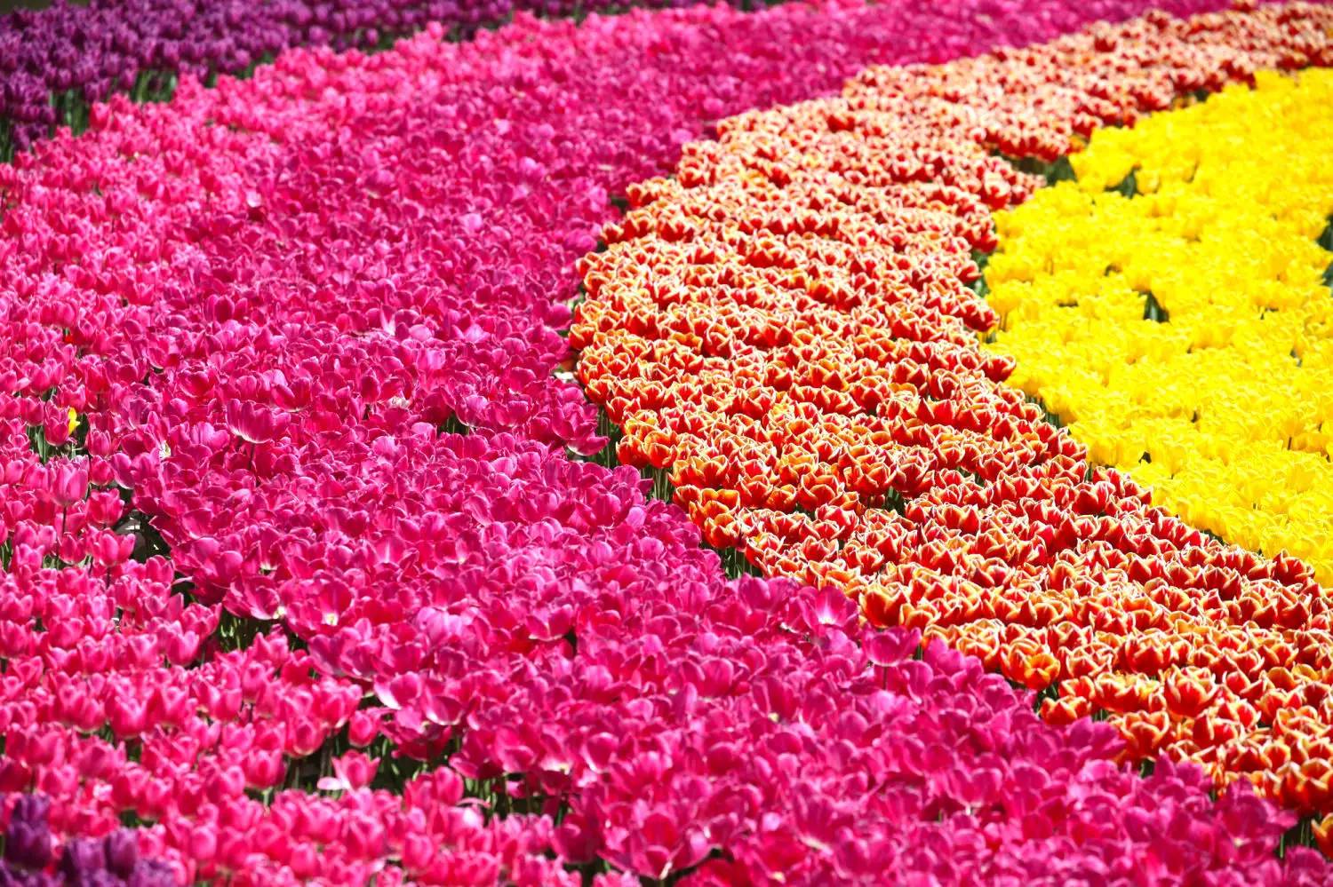 日本十大最美的风景,日本十大顶级美景