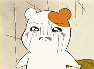 吊打敬业福、体彩和中国股市,这个节目有点厉害!