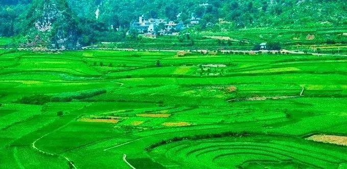 成都到贵州游玩的景点推荐理由,从成都到贵州旅游攻略自由行