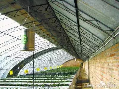 电热硫磺熏蒸器你真的会用吗,硫磺熏蒸器工作原理