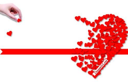 高度国际：公益之花恒久绽放