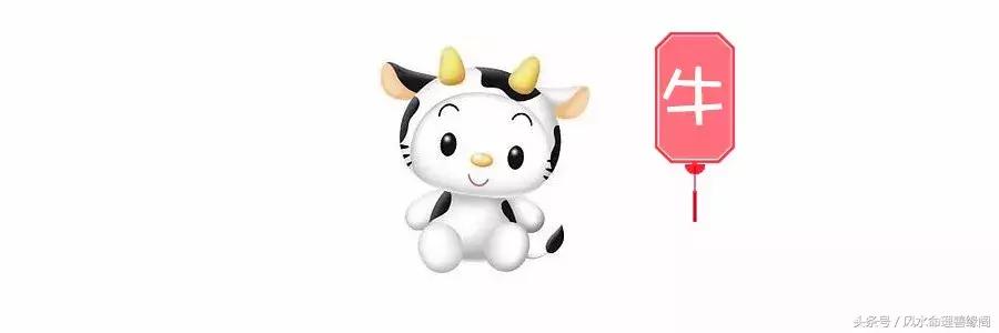 生肖与八字2022年运势及运程,从八字看十二生肖婚姻运势