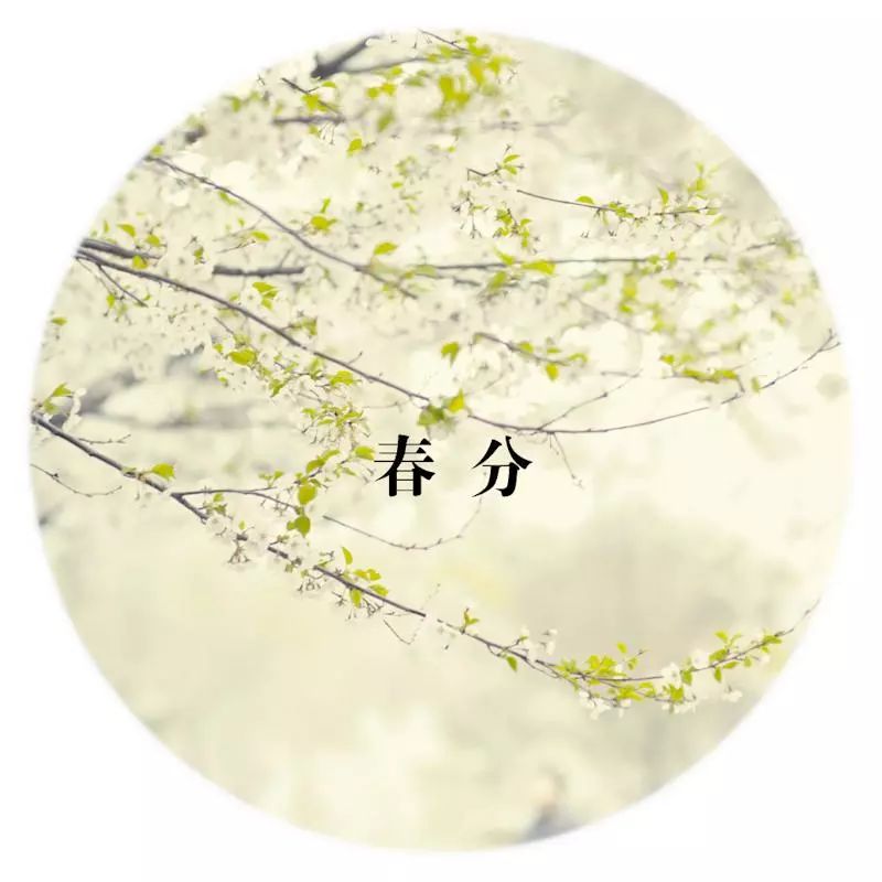 诗词原创长相思,长相思情感经典诗词