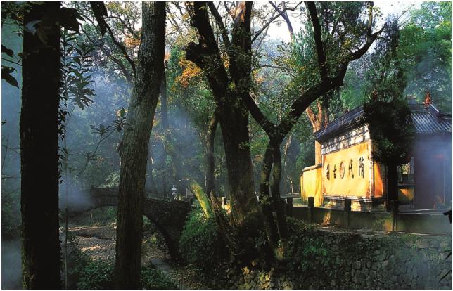 春节上海哪些地方好逛,上海人春节吃什么