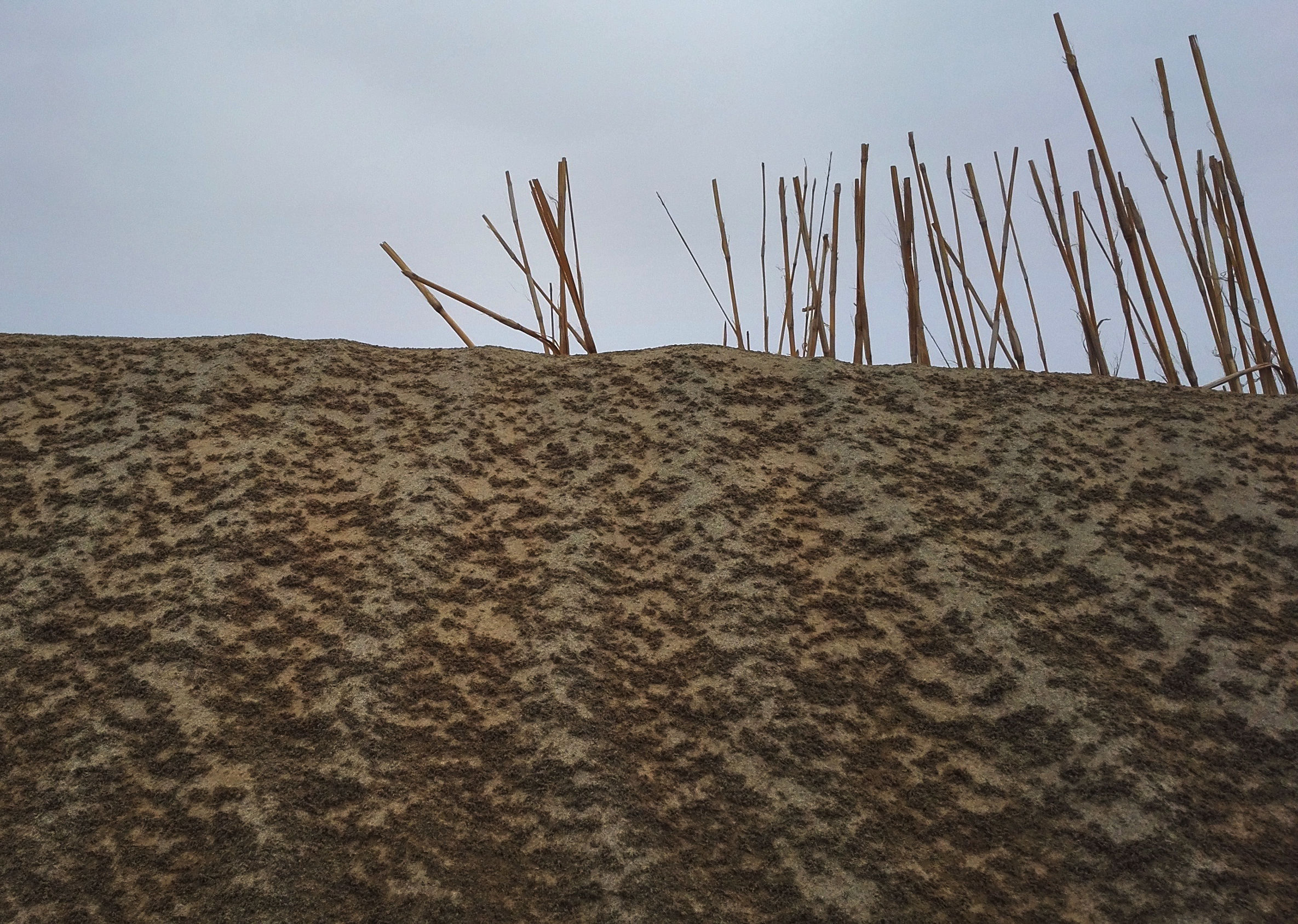 北疆和独库公路自驾游,独库公路和伊犁自驾游攻略