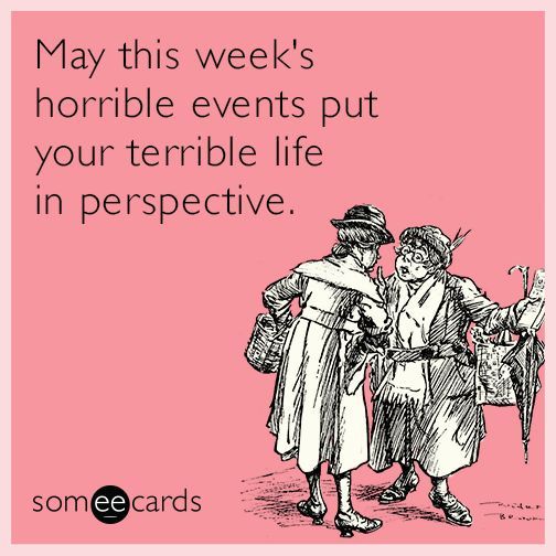 我从书中读懂了什么,我从这本书里知道了许多知识英语