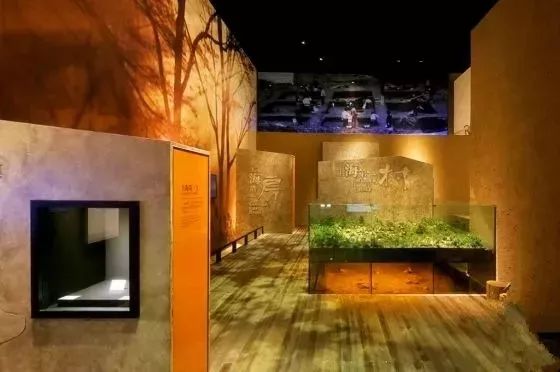 上海17号线东方绿舟,上海17号线附近游玩