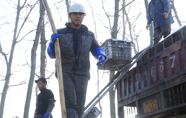 谁说农村不如城里,谁说农村生活不如城里