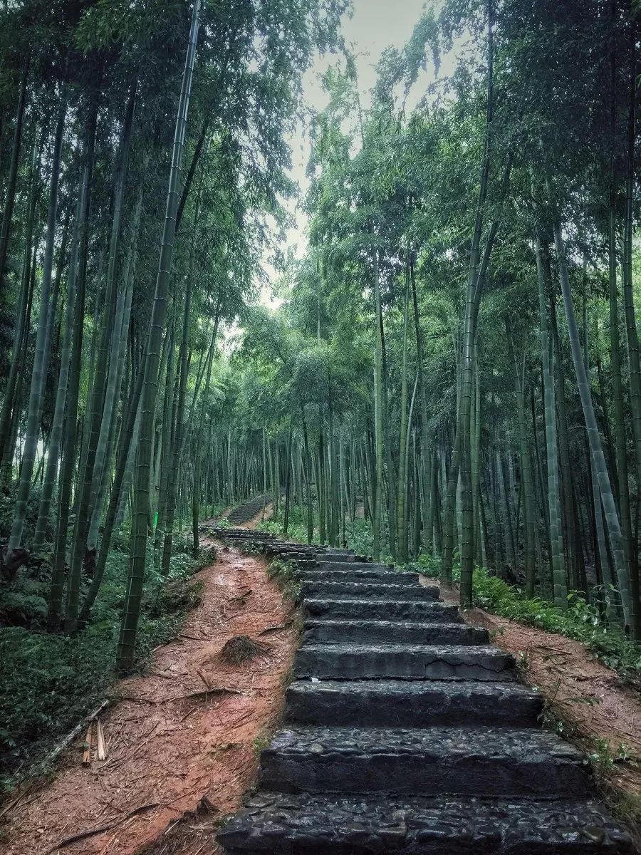 浙江安吉号称第一竹乡吗,安吉联合国最宜居城市