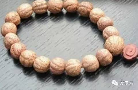 菩提本无树，果实作文玩