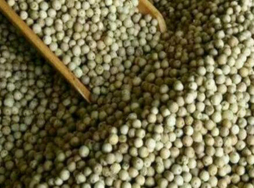 种植胡椒多少钱一斤,胡椒市场价格