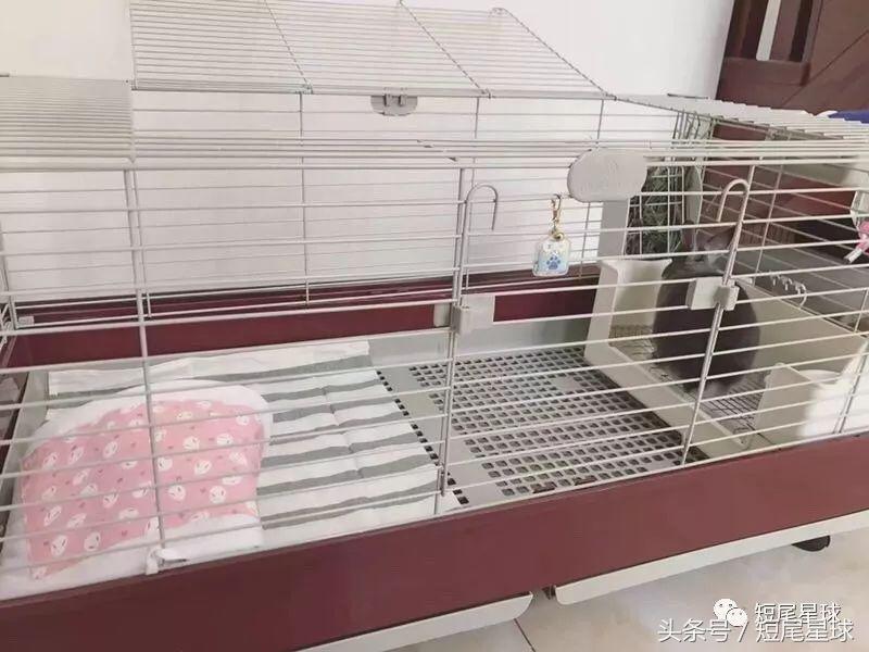 兔笼子哪一款最好,兔兔适合什么兔笼