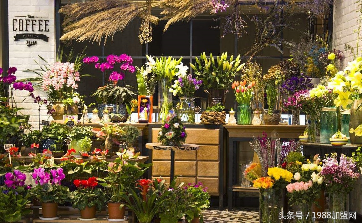 热门小生意创业项目女性,适合女性创业小项目小生意