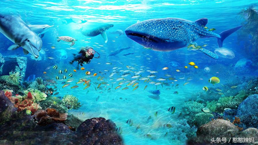 10个适合全家亲子游的周末目的地,亲子游带孩子去哪里旅游比较好