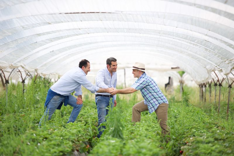 婴幼儿中国食品,中国婴儿食品