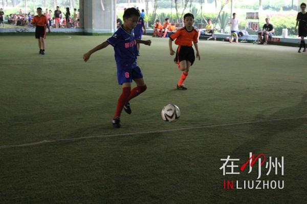 2024柳州小学生足球比赛,柳州小学区长杯足球比赛