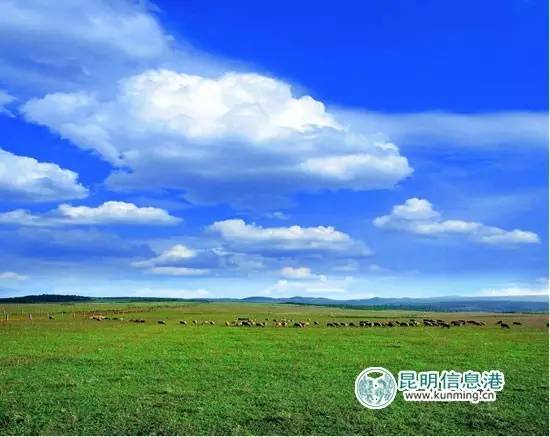 五一何须远游昆明近郊玩场多