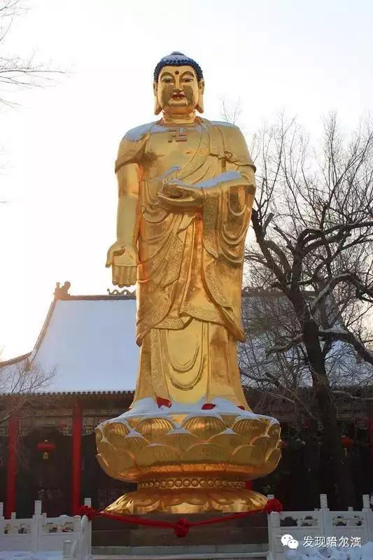 哈尔滨极乐寺是天台还是净土,哈尔滨极乐寺不堪回首的往事