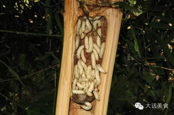 这50道美食你都吃过几种,盘点你看了馋又不敢吃的美食