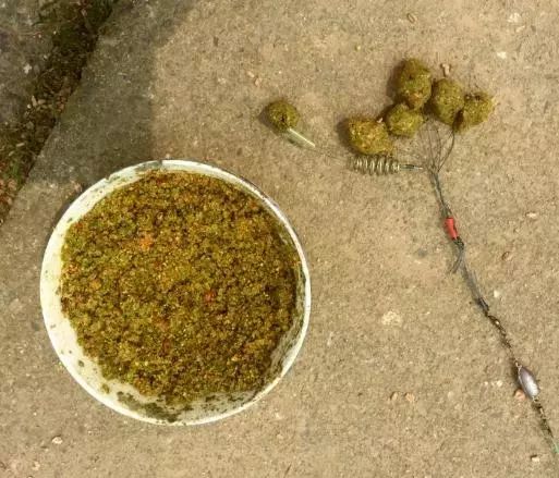 海钓矶钓新手的入门教程,海钓矶钓技巧教学解说