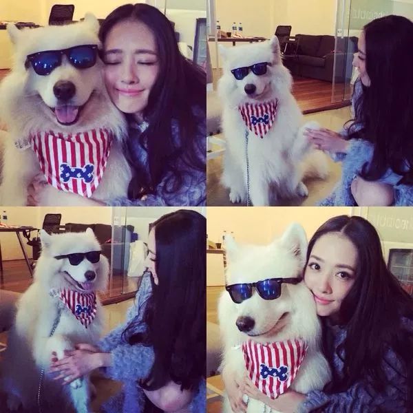 毕竟爱狗｜哈哈哈哈哈哈……听说你们要买狗年单品？我就真的不拦了！